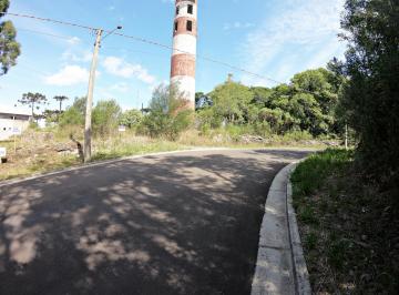 828253.jpg · Terreno - Bairro Floresta