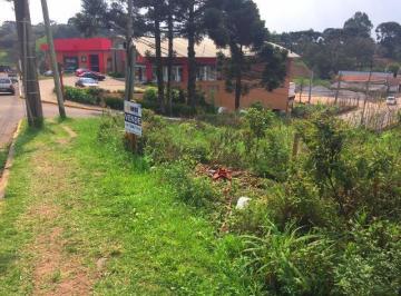 896215.jpg · Terreno - Bairro Centro