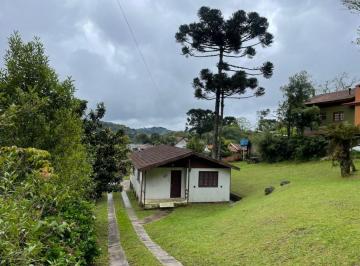 837033.jpg · Terreno - Bairro Dutra