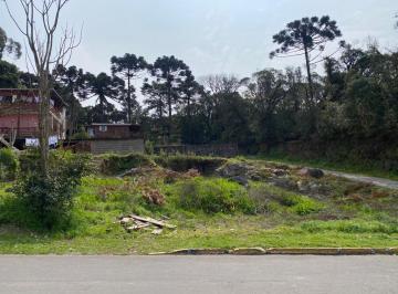 603469.jpg · Terreno - Bairro Moura