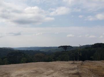 989976.jpg · Terreno - Bairro Dutra