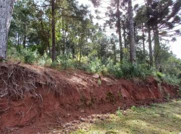 560540.jpg · Terreno - Bairro Dutra