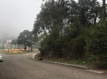 603277.jpg · Terreno - Bairro Carniel