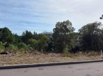 686625.jpg · Terreno - Bairro Dutra