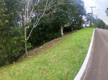 714866.jpg · Terreno - Bairro Floresta