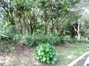 176698.jpg · Terreno - Bairro Mato Queimado