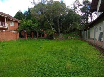 717416.jpg · Terreno - Bairro Ipê Amarelo