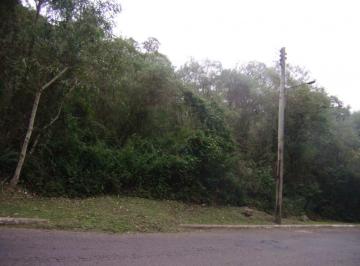274787.jpg · Terreno - Bairro Mato Queimado