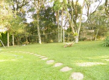 144912.jpg · Sitio - Bairro Tapera