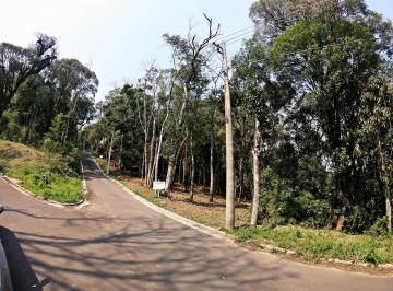 418695.jpg · Terreno - Bairro Floresta