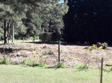 724763.jpg · Terreno - Bairro Parque das Hortênsias