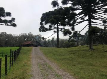 946296.jpg · Sitio - Bairro Serra Grande