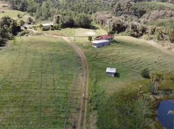 865464.jpg · Sitio - Bairro RENANIA