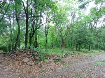 151680.jpg · Sitio - Bairro Linha Ávila