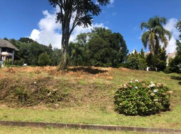 386674.jpg · Terreno - Bairro Mato Queimado