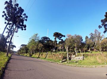 263021.jpg · Terreno - Bairro Vila Maggi