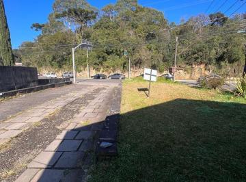 532215.jpg · Terreno - Bairro Centro