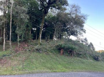 869810.jpg · Terreno - Bairro Quinta da Serra
