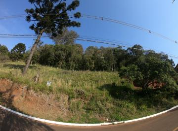 536987.jpg · Terreno - Bairro Piratini