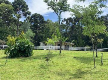 281549.jpg · Sitio - Bairro Tapera