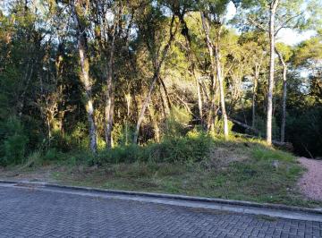 629660.jpg · Terreno - Bairro Carniel