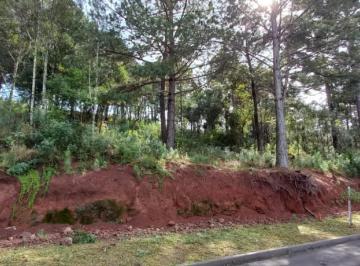 430831.jpg · Terreno - Bairro Dutra