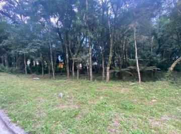 613978.jpg · Terreno - Bairro Floresta