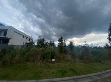 894766.jpg · Terreno - Bairro Pórtico