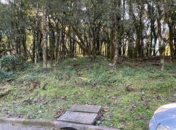 360344.jpg · Terreno em Condominio - Bairro Bosque Sinoserra