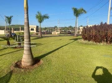 Terreno · 250m² · Lote Residencial Quinta da Mata II à venda #imoveisribeirao.