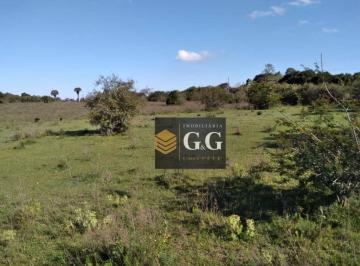 2a6666cff8c62fba2b8448317b56fc44905fa424 · Área à venda, 50640 m² por R$ 590.000,00 - Águas Claras - Viamão/RS