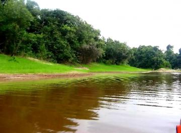 Terreno , Itapiranga · Terreno em Itapiranga de 1 hectar