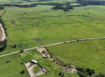 Rural de 2 quartos, Santo Antônio da Patrulha · Fazenda com 206 Hectares em Santo Antônio da Patrulha/RS no Litoral Norte-RS