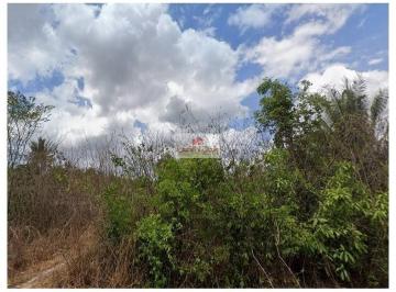 7b7f2e3836fe2ff2aff18136ce491d6a.jpg · Fazenda com 900 hectares, dupla aptidão, terra bruta, própria para o cultivo de soja