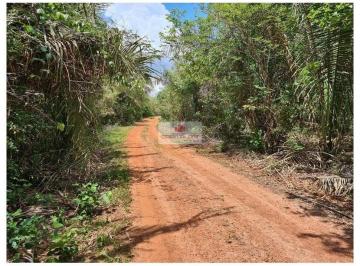 9ac77dce0c27b1caea5335d28edf6816.jpg · Fazenda com 270 hectares, dupla aptidão, na margem do Rio Itapecuru