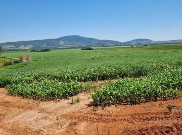 0173c92ebd5b6d9cd2ef4a3f6505bc15.jpeg · Fazenda / Sítios / Chácaras com 1 quarto à venda em São Sebastião Da Bela Vista, no bairro Zona Rura