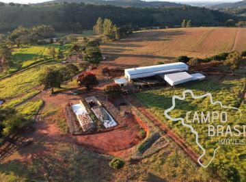 Foto 09 · FAZENDA  116 HECTARES  ESCELENTE TOPOGRAFIA !