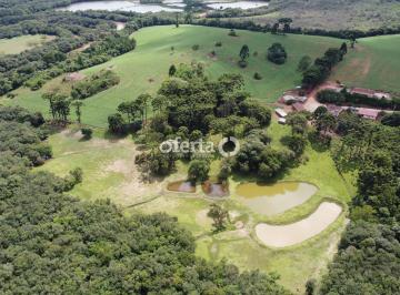 Rural · 254100m² · 9 Quartos · Chácara em Araucária