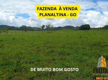 Foto 10 · Fazenda Escriturada de 51 Hectares à Venda em Planaltina, Goiás ? Dupla Aptidão para Agricultura e P