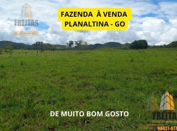 Foto 10 · Fazenda Escriturada de 51 Hectares à Venda em Planaltina, Goiás ? Dupla Aptidão para Agricultura e P