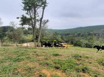 6c82fc0a8e3b8915c9627288387efe21675781e3 · Área à venda, 20000 m² por R$ 600.000,00 - área Rural de Itapetininga - Itapetininga/SP