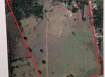 imagem-1 · TERRENO NA BR 153 Área / Terreno à Venda, 183000 por R$ 24.705.000 no setor . AX18102