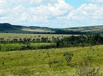 Rural , Alto Paraíso de Goiás · OPORTUNIDADE, BELÍSSIMA ÁREA NA CHAPADA DOS VEADEIROS!!!