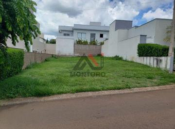 img0 · Terreno Lote em Araraquara