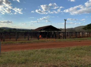d6f5172f7ca949988eda2698372fe532b465ca31 · Fazenda à venda, 12100000 m² por R$ 55 milhões - Zona Rural - Santa Isabel/GO