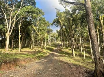 Foto 01 · Sitio, Bateias de Baixo, Campo Alegre, SC