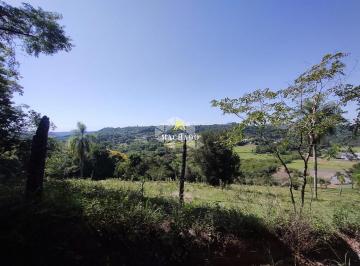 495101_ia4l0w_495101659493c8c8441.jpg · Área de terras em Lindolfo Collor