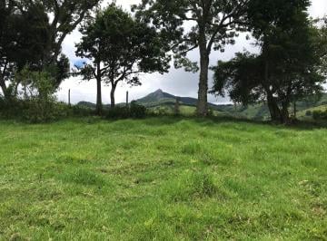 Rural , Camanducaia · Sítio à Venda | Potencial para Plantio, Pecuária ou Investimento em Turismo