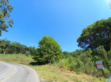 Rural · 20000m² · Chácara na Parada Cristal Travessão Gavioli