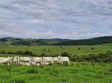 32b4e82ec170d9474027f7c7d99db0cf.jpg · Fazenda / Sítios / Chácaras com 2 quartos à venda em São Francisco De Paula, no bairro Zona Rural